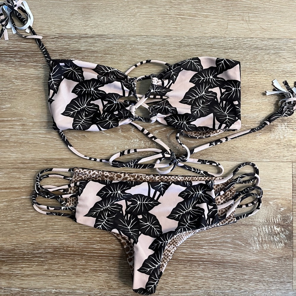 Acacia bikini